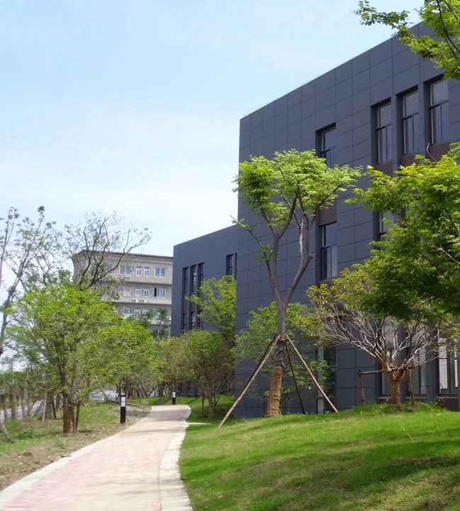 1588580952761244.jpg 1588580952761244.jpg