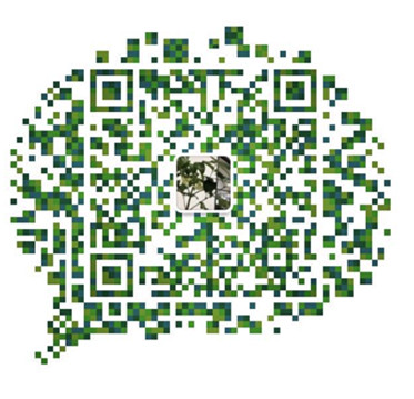 1599728881335389.jpg debea134efdb21f98d2a1a956a74846.jpg